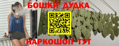 тгк Тула
