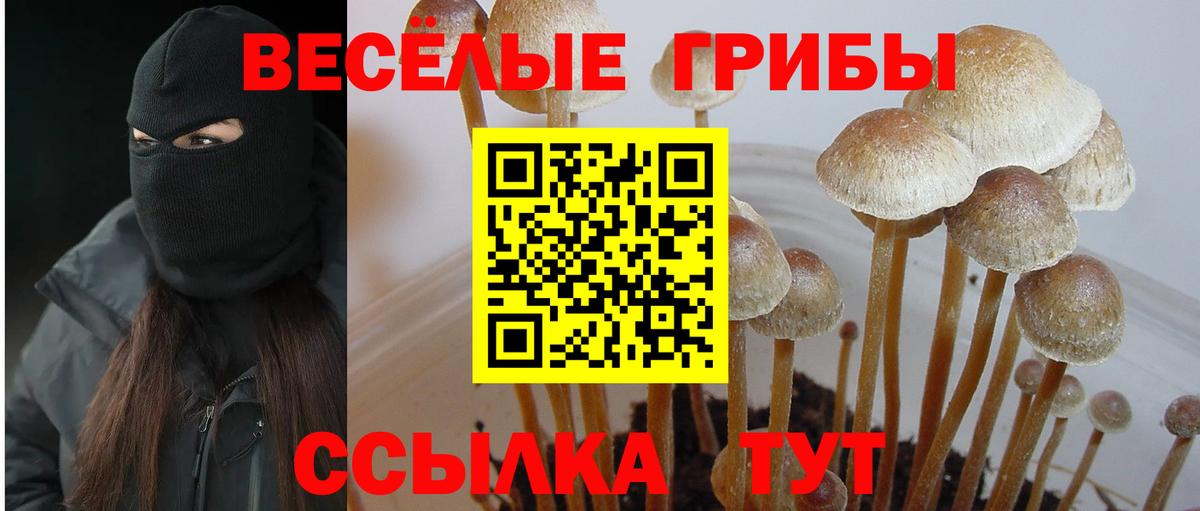 Галлюциногенные грибы Magic Shrooms  Вход с VPN  Волжск 
